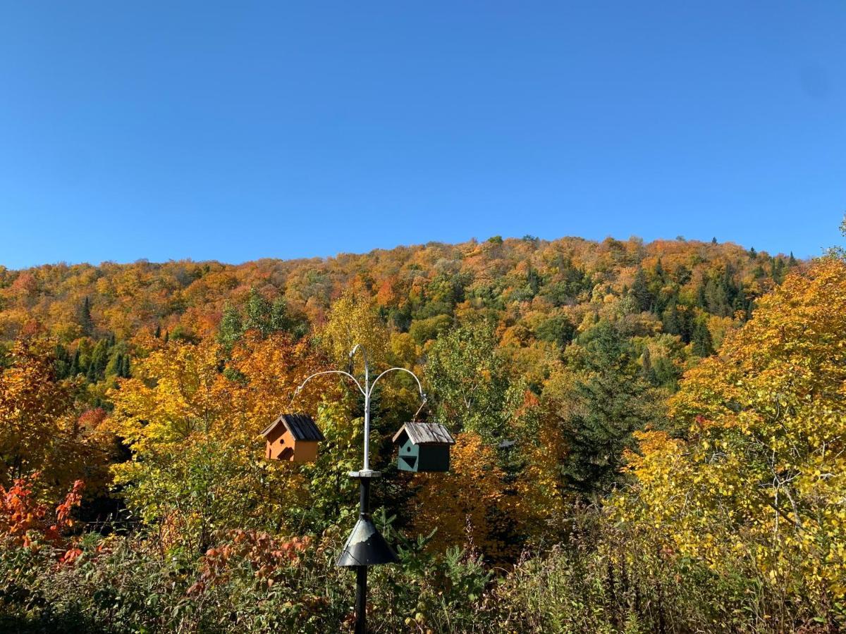 Loft Nature Laurentides Val-des-Lacs Екстериор снимка