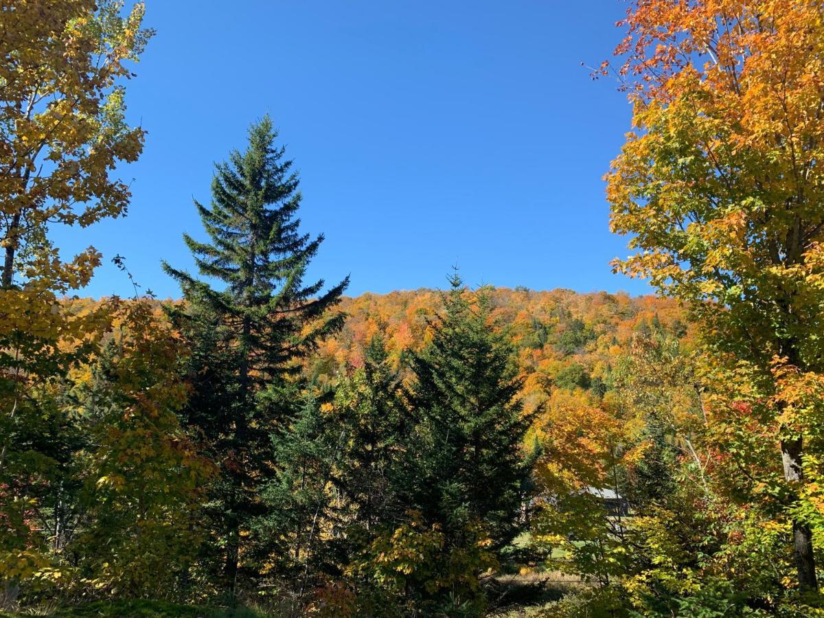 Loft Nature Laurentides Val-des-Lacs Екстериор снимка