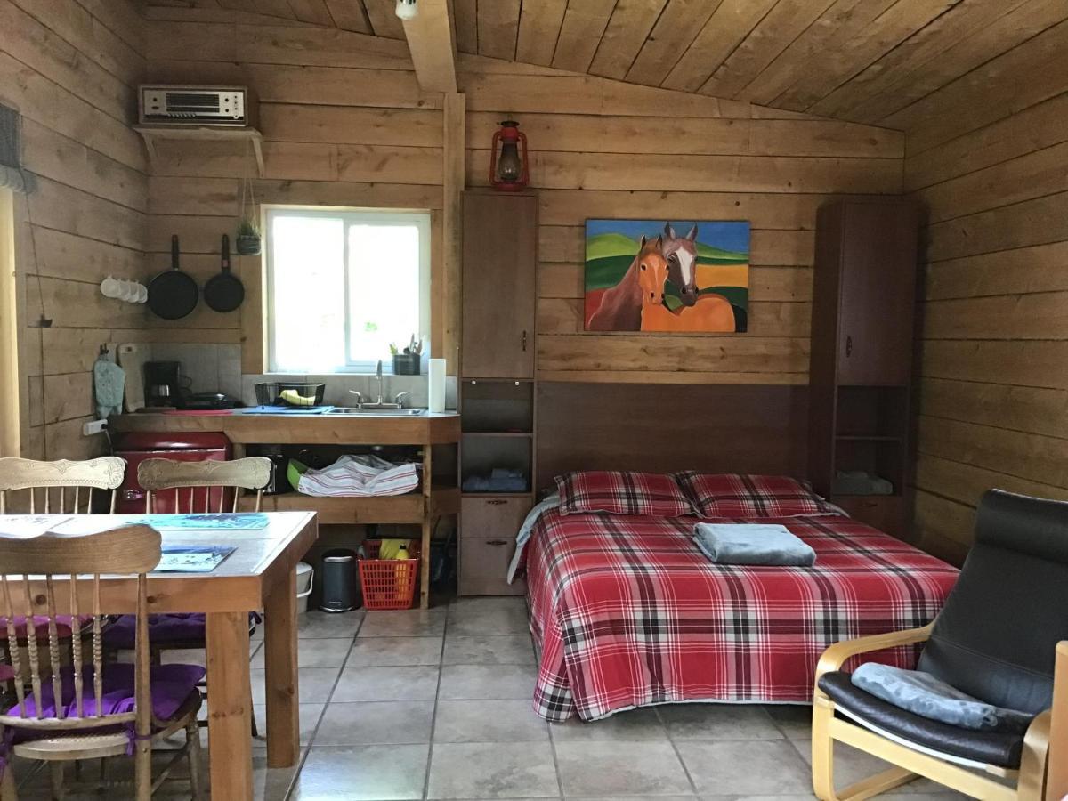 Loft Nature Laurentides Val-des-Lacs Екстериор снимка