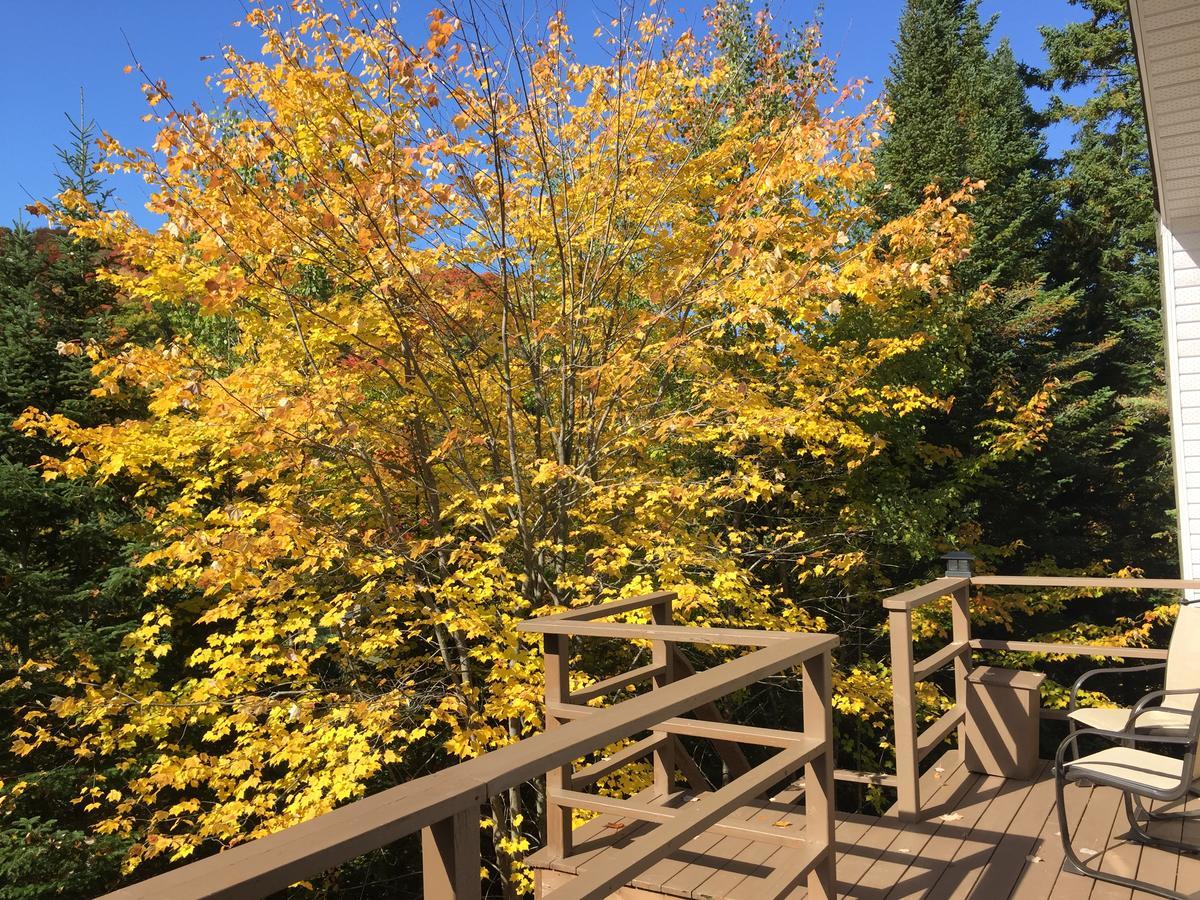 Loft Nature Laurentides Val-des-Lacs Екстериор снимка