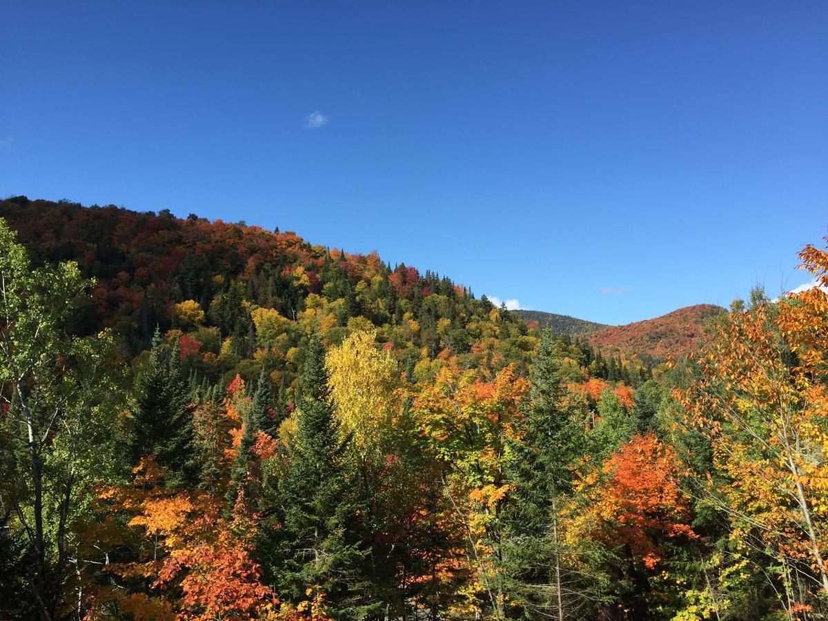 Loft Nature Laurentides Val-des-Lacs Екстериор снимка