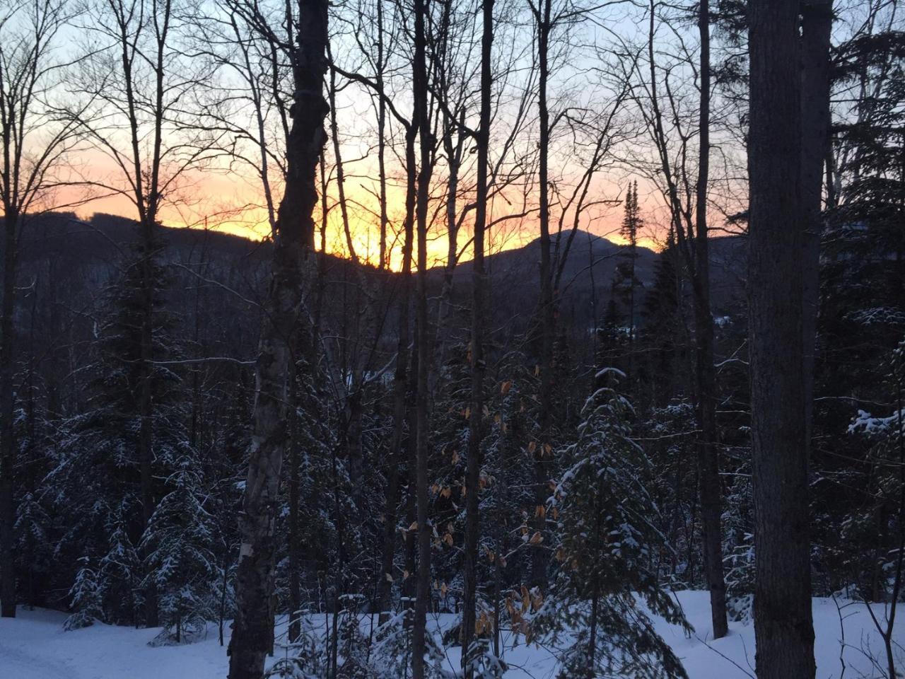 Loft Nature Laurentides Val-des-Lacs Екстериор снимка